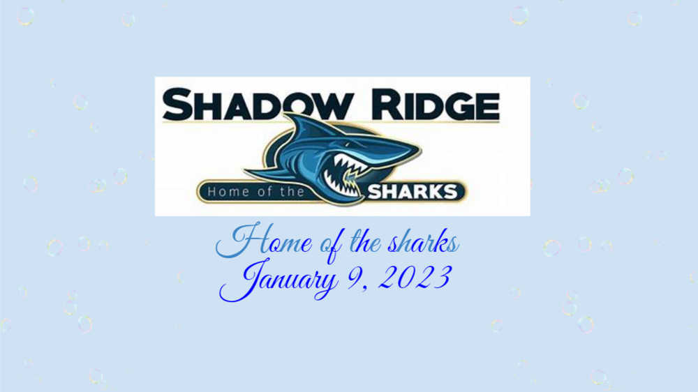 ​Shadow Ridge Board Report 1/9/2023