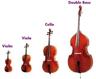 Some Honor Orchestra Instruments