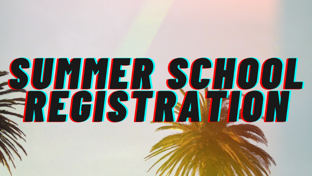 Palm trees on a banner that says "Summer School Registration"