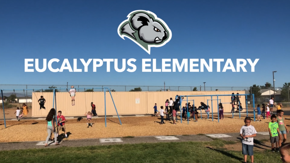 Eucalyptus Students on the Playground