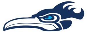 Online Verification through Infinite Campus