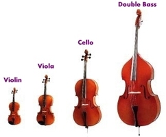 OHHS Students make SBC Honor Orchestra