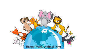 Happy World Animal Day 2020!