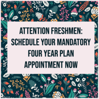 Freshmen Four Year Plan Meetings