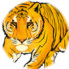 Small_570e53ca-affc-445e-b58b-420df4b92eae