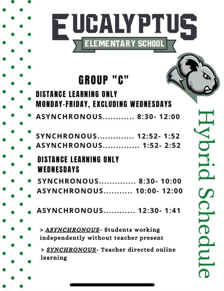 Distance Learning Schedules for Group C