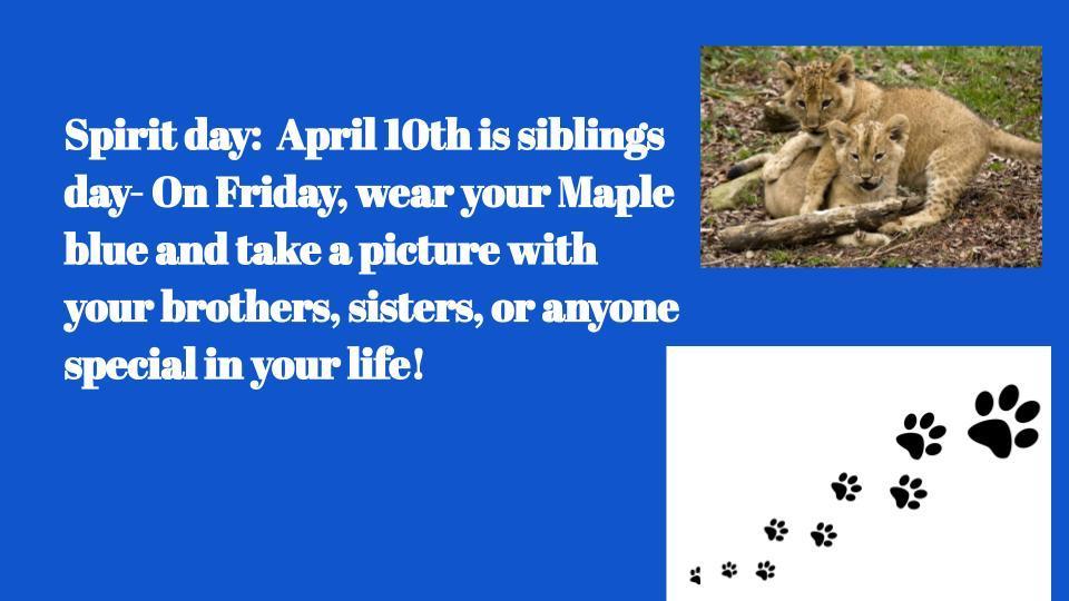 Spirit Friday
