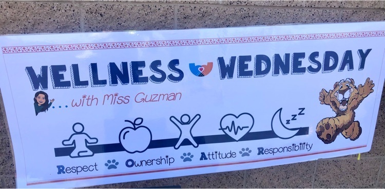 wellness Wednesday