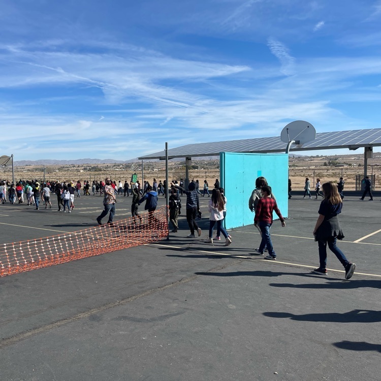 shakeout1