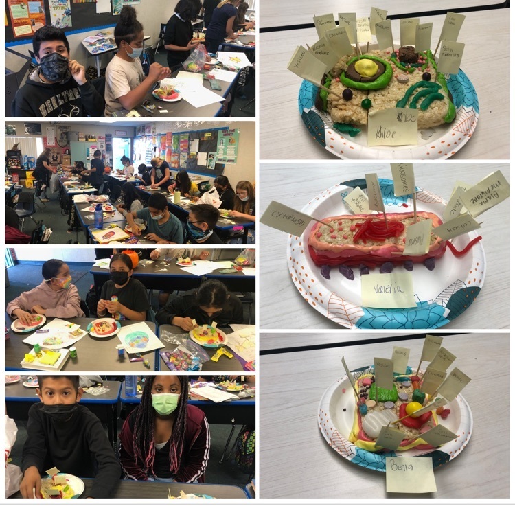 cell diagrams