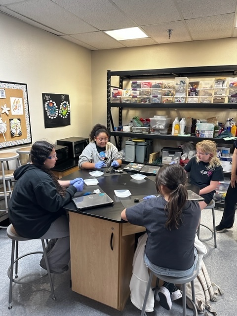 5th grade science
