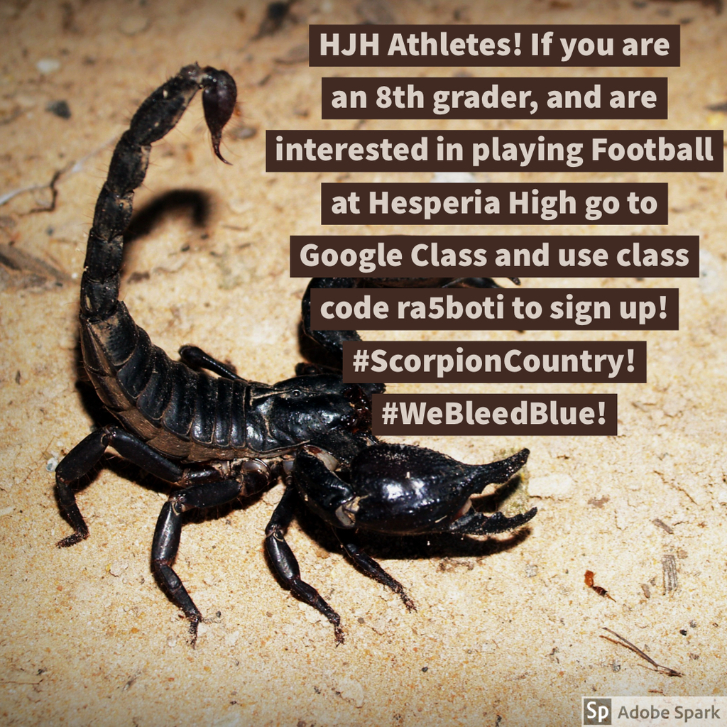 #ScorpionCountry