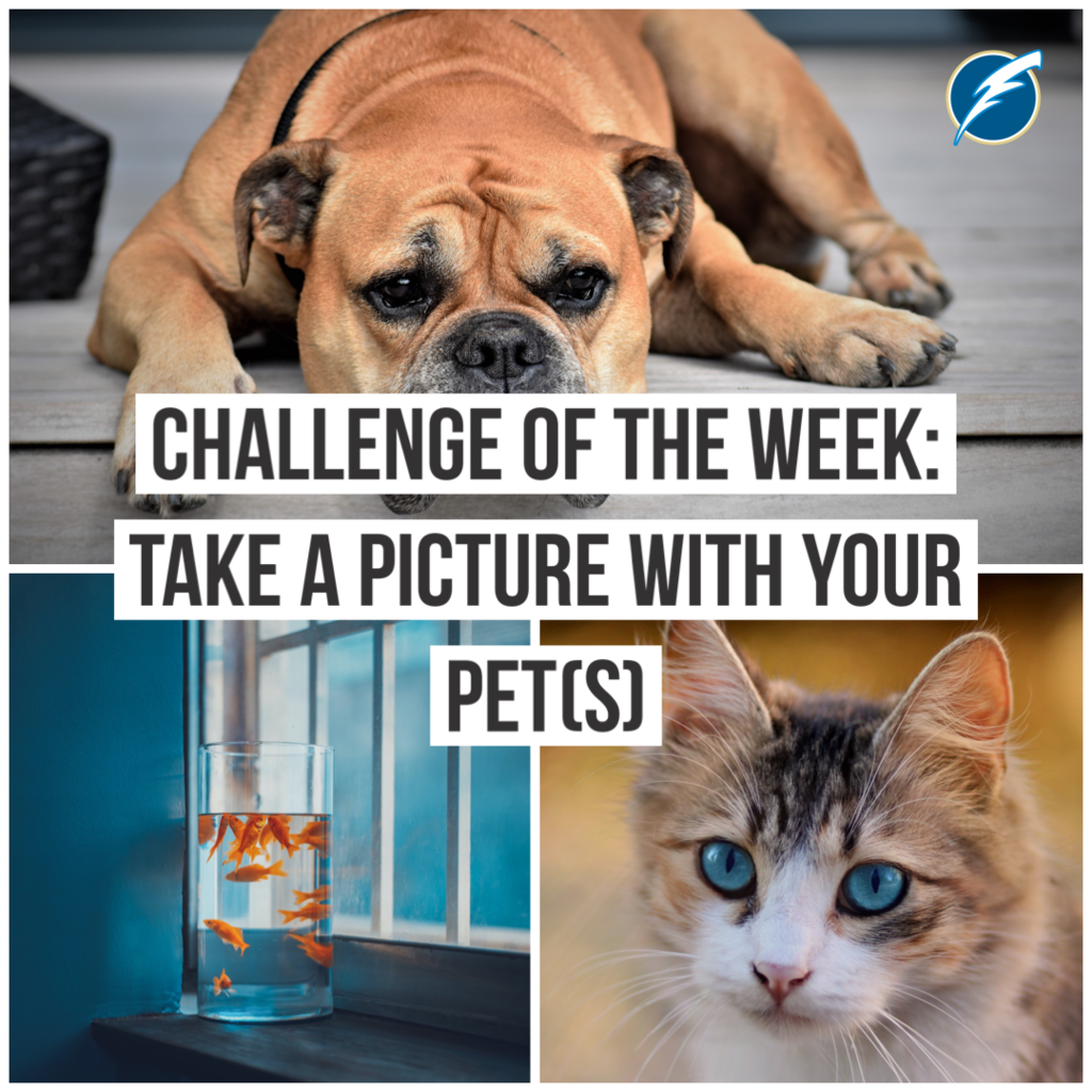 Challenge of the Week - Take a picture with your Pet
