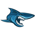 Shadow Ridge School